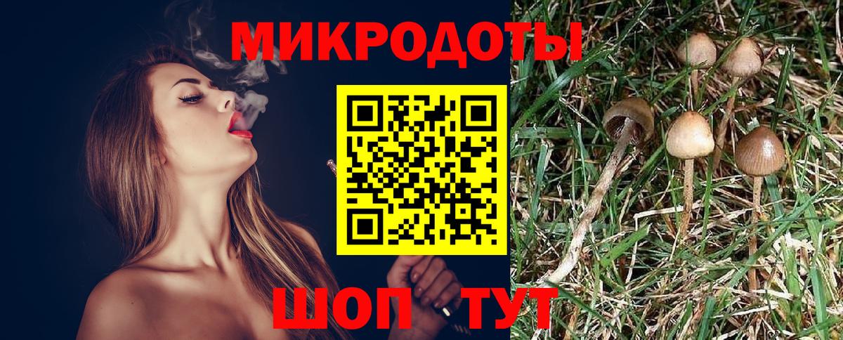 Псилоцибиновые грибы Psilocybine cubensis  купить   Кольчугино  Вход с VPN 